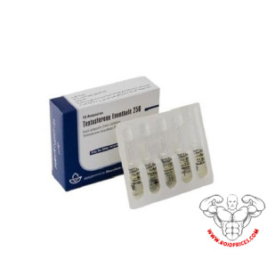 Aburaihan Testosteron Enanthate 250mg 10 Ampoules