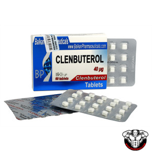 Balkan Pharma Clenbuterol 40mcg 60 Tablets