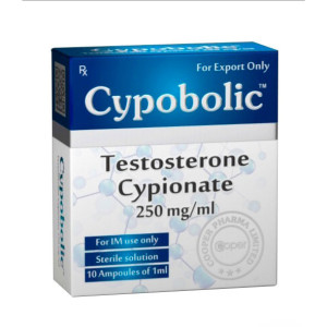 Cooper Pharma Testosteron Cypionat  250mg 10 Amp